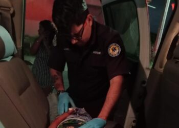 Niño de tres años es atacado por un perro y su estado de salud es reportado delicado
