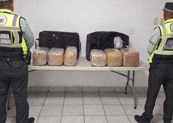 Aseguran maletas con más de 33 kilos de marihuana en Central de Autobuses de Torreón, Coahuila