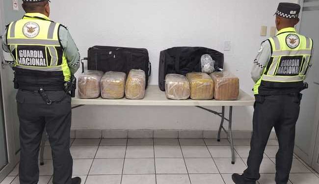 Aseguran maletas con más de 33 kilos de marihuana en Central de Autobuses de Torreón, Coahuila