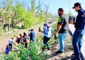 ¡Un Badiraguato más embellecido! Autoridades y sociedad en general plantan cientos de árboles