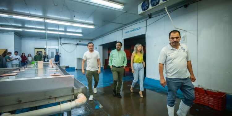 Juan de Dios Gámez entrega el Distintivo Impulso Nafin a la empresa “Granjas Jesany”