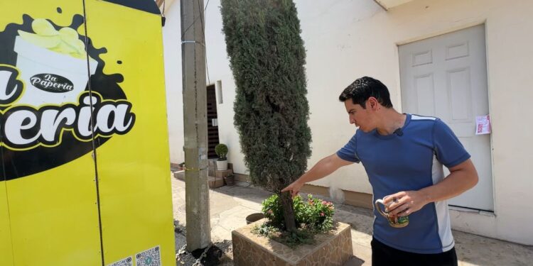 Vecinos de Las Quintas temen que continúen los socavones en la zona; ya se registran hundimientos en otras calles