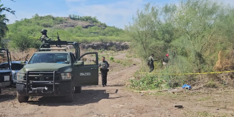Hallan a otro ejecutado a un costado de la Facultad de Veterinaria y Zootecnia de la UAS