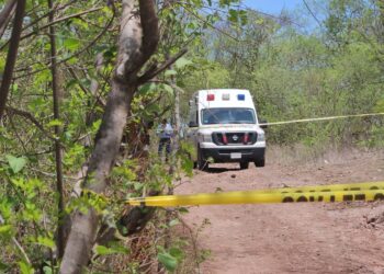 Hallan a desconocido asesinado junto a un corral de “cochis” al sur de Culiacán