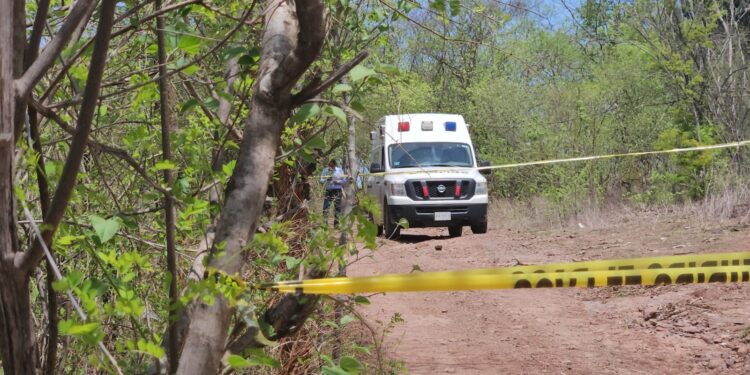 Hallan a desconocido asesinado junto a un corral de “cochis” al sur de Culiacán