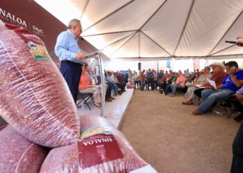 Entrega Rocha semillas de diferentes cultivos a productores temporaleros