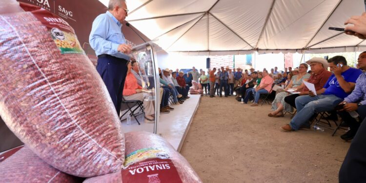 Entrega Rocha semillas de diferentes cultivos a productores temporaleros