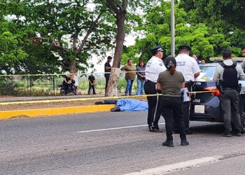 Muere joven motociclista al chocar contra un árbol en la carretera Culiacán-Navolato