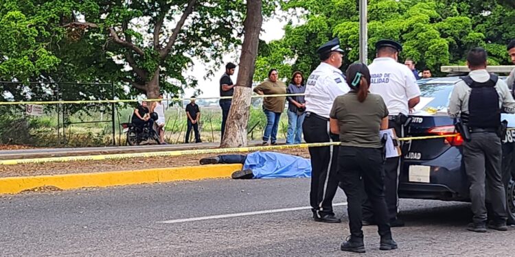 Muere joven motociclista al chocar contra un árbol en la carretera Culiacán-Navolato