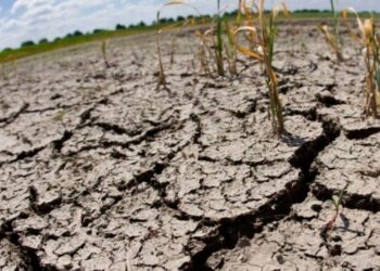 La deforestación de espacios y la desubicación de los temporales de lluvia están acelerando los procesos de desertificación, advierte especialista