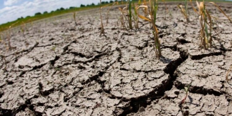 La deforestación de espacios y la desubicación de los temporales de lluvia están acelerando los procesos de desertificación, advierte especialista