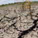 La deforestación de espacios y la desubicación de los temporales de lluvia están acelerando los procesos de desertificación, advierte especialista