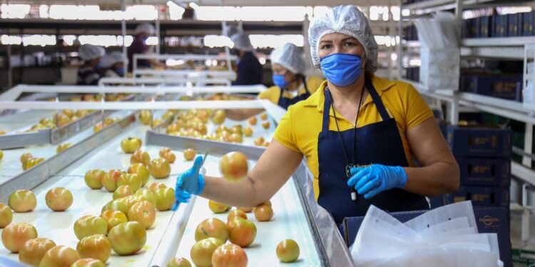 Sinaloa lidera el crecimiento económico nacional en el primer trimestre de 2024