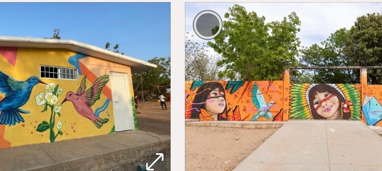 Vamos Pintando busca cambiar la imagen de Culiacán; la meta son 500 murales