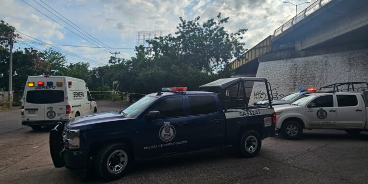 Matan a balazos a una mujer debajo del puente a desnivel de la Industrial El Palmito