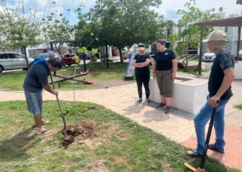 Parques Alegres y voluntarios plantan 220 árboles