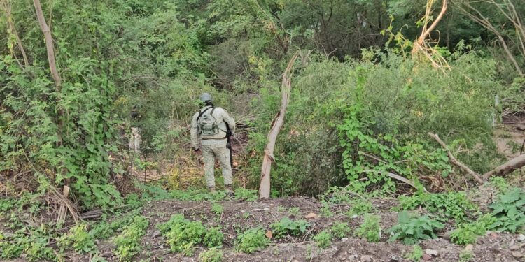 Localizan restos humanos en excavación para construir casas