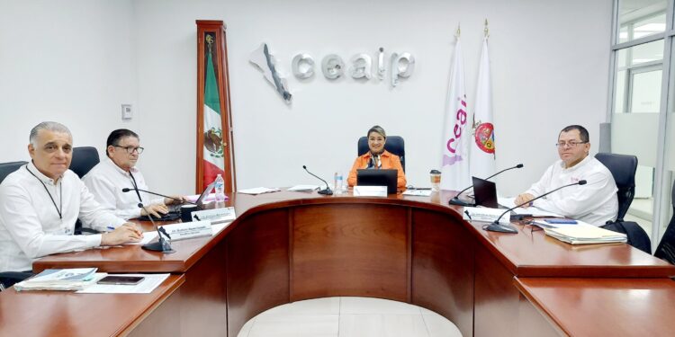 Hay que analizar con la sociedad cómo fortalecer a los organismos de transparencia: CEAIP