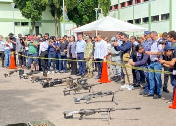 Ejército Mexicano destruye 318 armas de fuego en la Novena Zona Militar