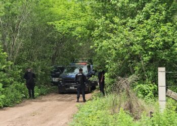 Localizan a tres hombres torturados y ejecutados a balazos en Elota