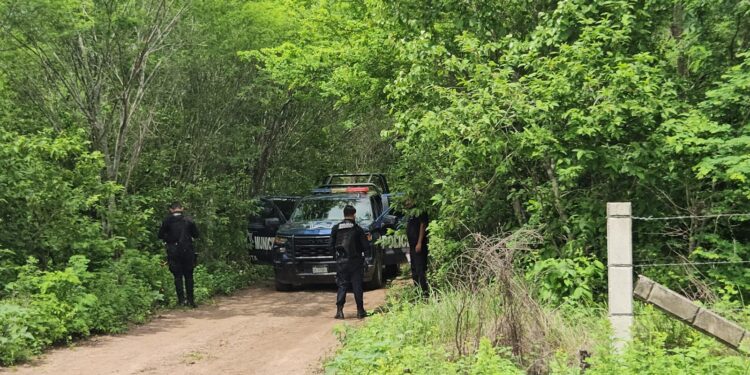 Localizan a tres hombres torturados y ejecutados a balazos en Elota