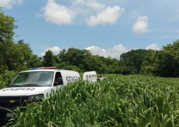Hallan a pareja asesinada en Sanalona