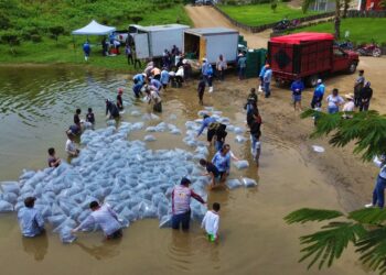 Gobierno de Sinaloa siembra 2 millones de alevines en la Presa Picachos