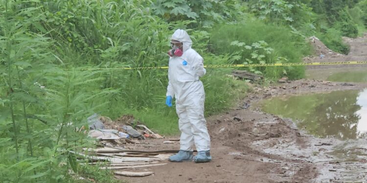 Hallan a un hombre asesinado y envuelto en una mallasombra al norte de Culiacán