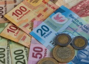 Agosto ha sido complicado para el peso mexicano ante el ambiente político enrarecido y la fuga de capitales golondrinos: Cristina Ibarra Armenta