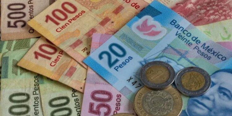 Agosto ha sido complicado para el peso mexicano ante el ambiente político enrarecido y la fuga de capitales golondrinos: Cristina Ibarra Armenta