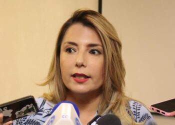 Morena busca robar a manos llenas con la desaparición del Instituto de Transparecia: PAN