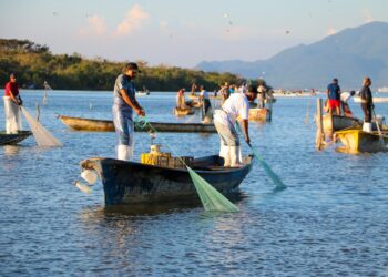Pescadores recibirán el Bienpesca Estatal en septiembre: Flor Emilia Guerra Mena