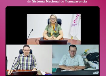 CEAIP realiza observaciones en Lineamientos para la Gestión y Operación de la PNT que impactan a nivel nacional
