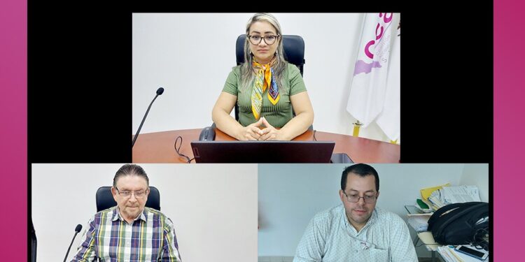 CEAIP realiza observaciones en Lineamientos para la Gestión y Operación de la PNT que impactan a nivel nacional