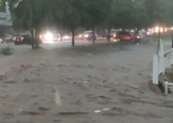 ¡Que llovidón!  Tormenta derrumba árboles y vehículos quedan varados