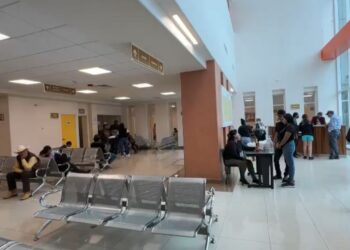 ¡Cuidado papás! Hospital Pediátrico atiende a niños intoxicados por consumo de veneno estas vacaciones