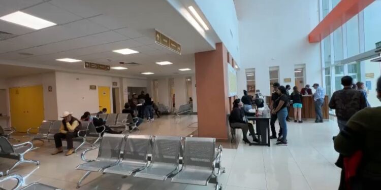 ¡Cuidado papás! Hospital Pediátrico atiende a niños intoxicados por consumo de veneno estas vacaciones