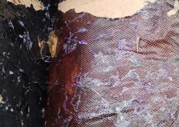 Asegura Guardia Nacional goma de opio oculta en las paredes de una caja de cartón