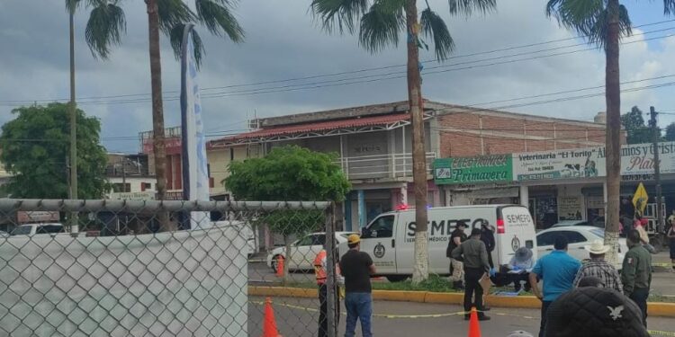 Atropellado fallece adulto mayor en Navolato