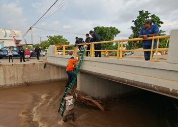 Rescatan a dos perritos pequeños de un canal de aguas pluviales