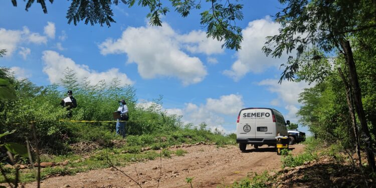 Identifican a la víctima localizada en La Pitallita; tenia 28 años de edad