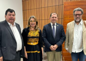 Robespierre Lizárraga informa al Pleno de la ANUIES y al Subsecretario Luciano Concheiro la vulneración a la Autonomía de la UAS por parte del Congreso del Estado