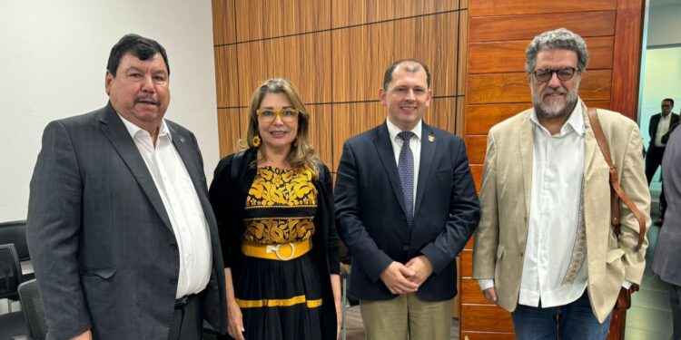Robespierre Lizárraga informa al Pleno de la ANUIES y al Subsecretario Luciano Concheiro la vulneración a la Autonomía de la UAS por parte del Congreso del Estado