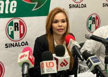 Desaparecer los organismos autónomos traería consecuencias graves para el país: Paola Gárate