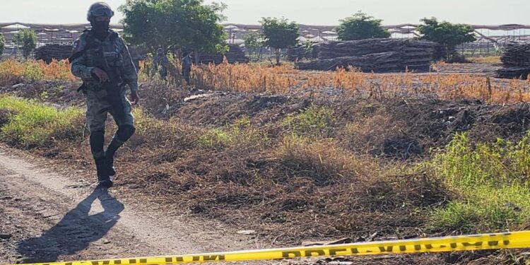 Hallan a un hombre ejecutado a balazos en Costa Rica