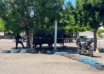 Hallan feto en un contenedor de basura en la plaza comercial La Campiña