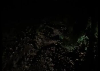 Hallan dos cuerpos semienterrados al sur de Infonavit Barrancos; podría haber más víctimas