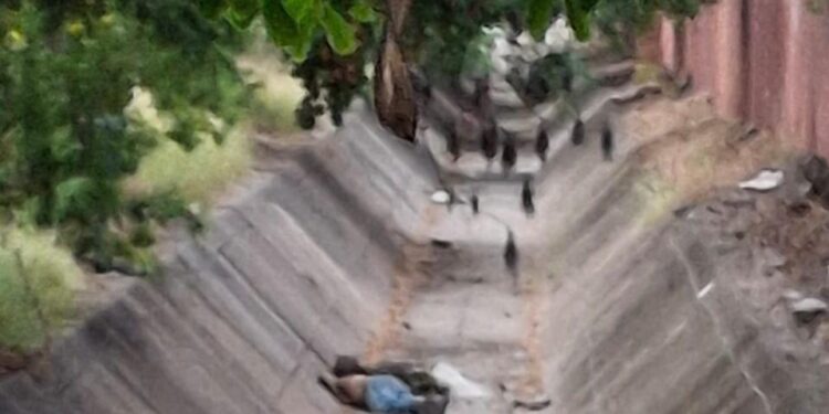 Hallan a un hombre sin vida en el dren pluvial de los Laureles Pinos
