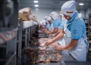 Sinaloa, sexto estado con mayor ingreso promedio de México