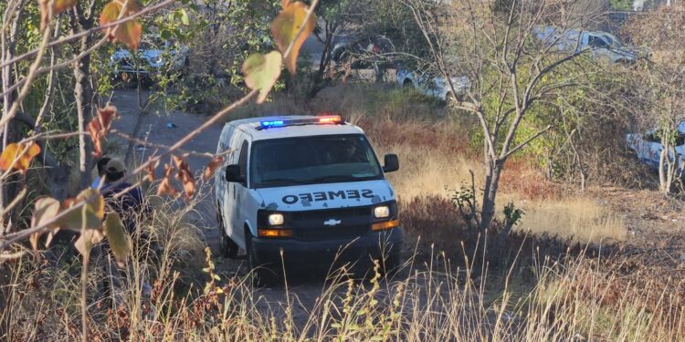 Hallan a un hombre asesinado en Alturas del Sur